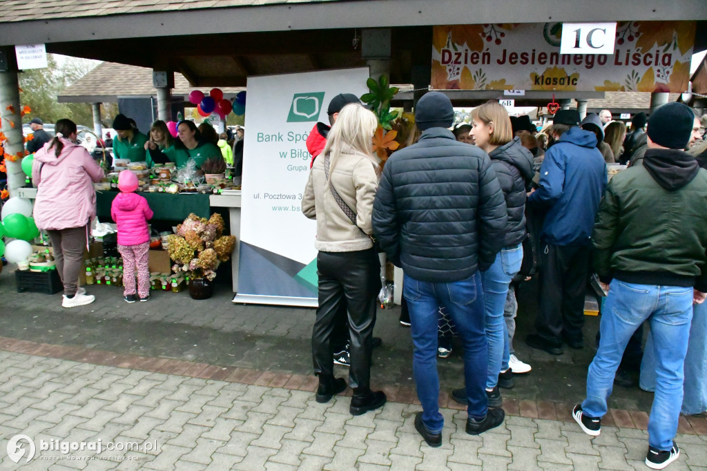 Za nami Dzień Jesiennego Liścia. Dobro rozlało się na miejskim targu