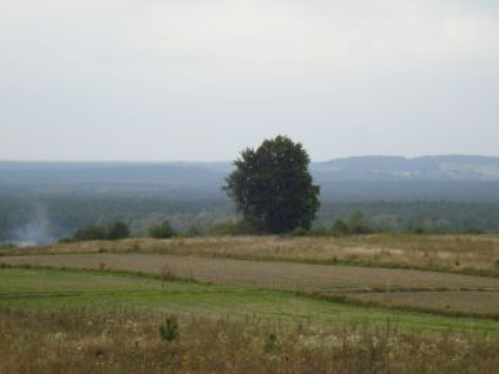 Próba inscenizacji historycznej na Wzgórzu Polak