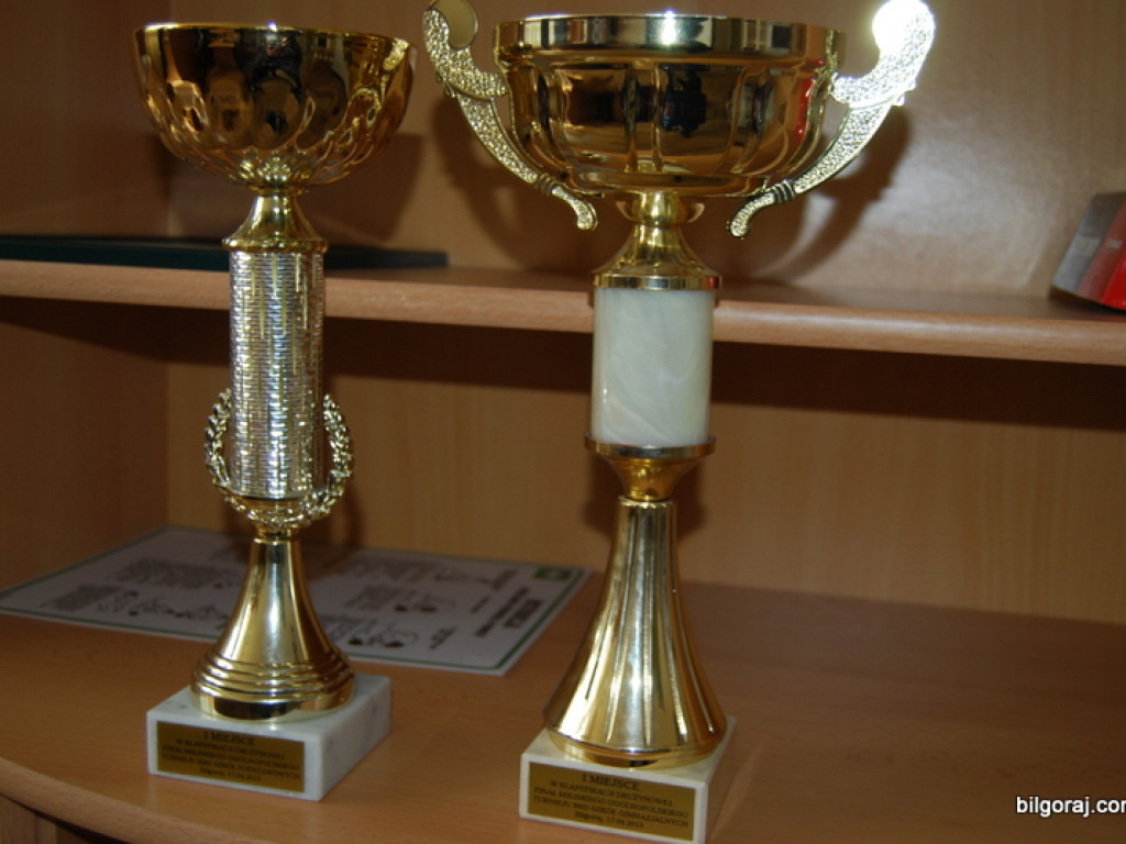 Wyniki  Miejskiego Turnieju BRD