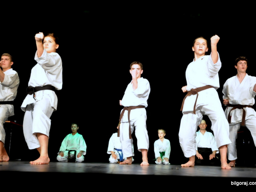 Burmistrz nagrodził najlepszych sportowców i działaczy kultury