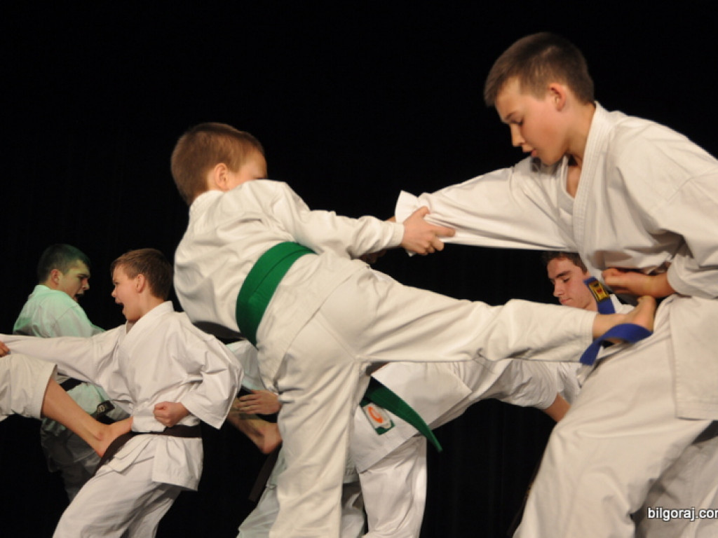 Burmistrz nagrodził najlepszych sportowców i działaczy kultury