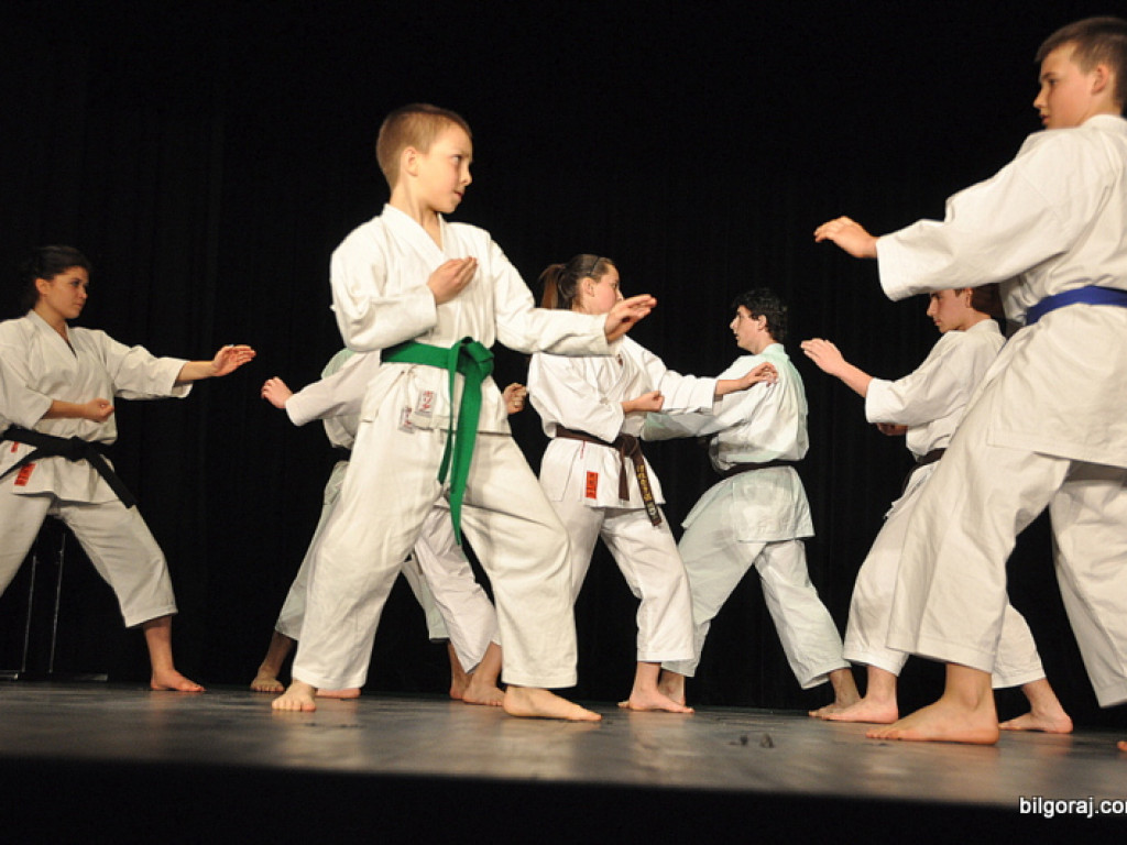 Burmistrz nagrodził najlepszych sportowców i działaczy kultury