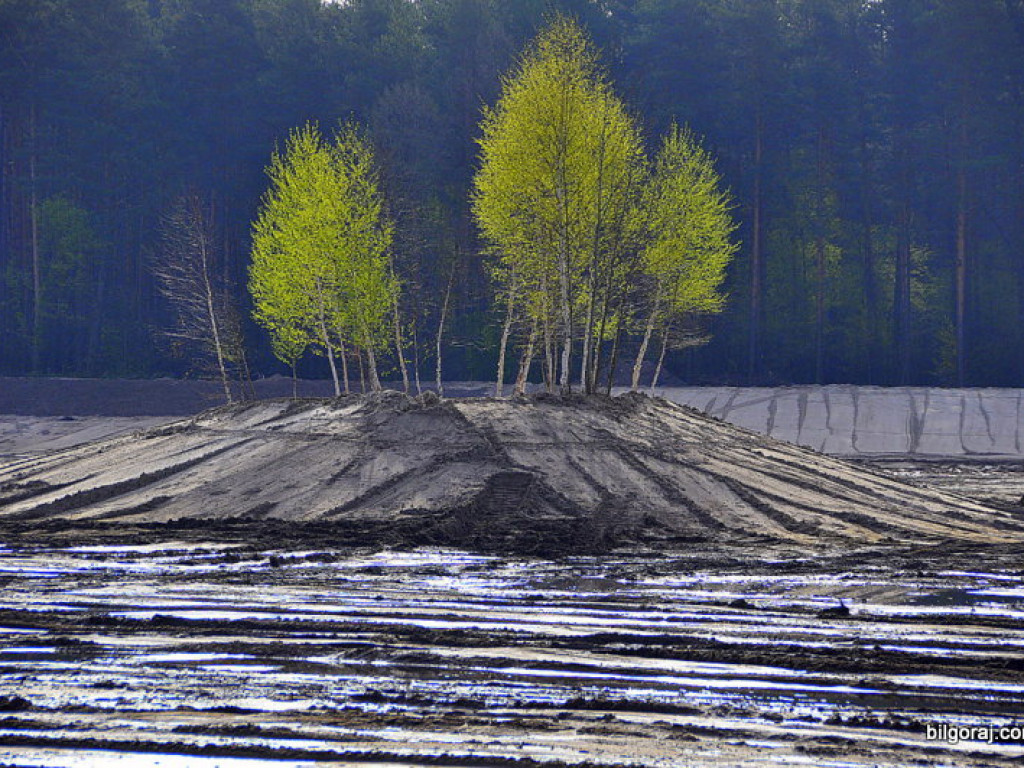 Zalew Bojary zmienia oblicze (FOTO)