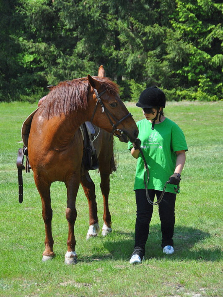 Biszcza - Żary: Powiatowe Święto Ludowe