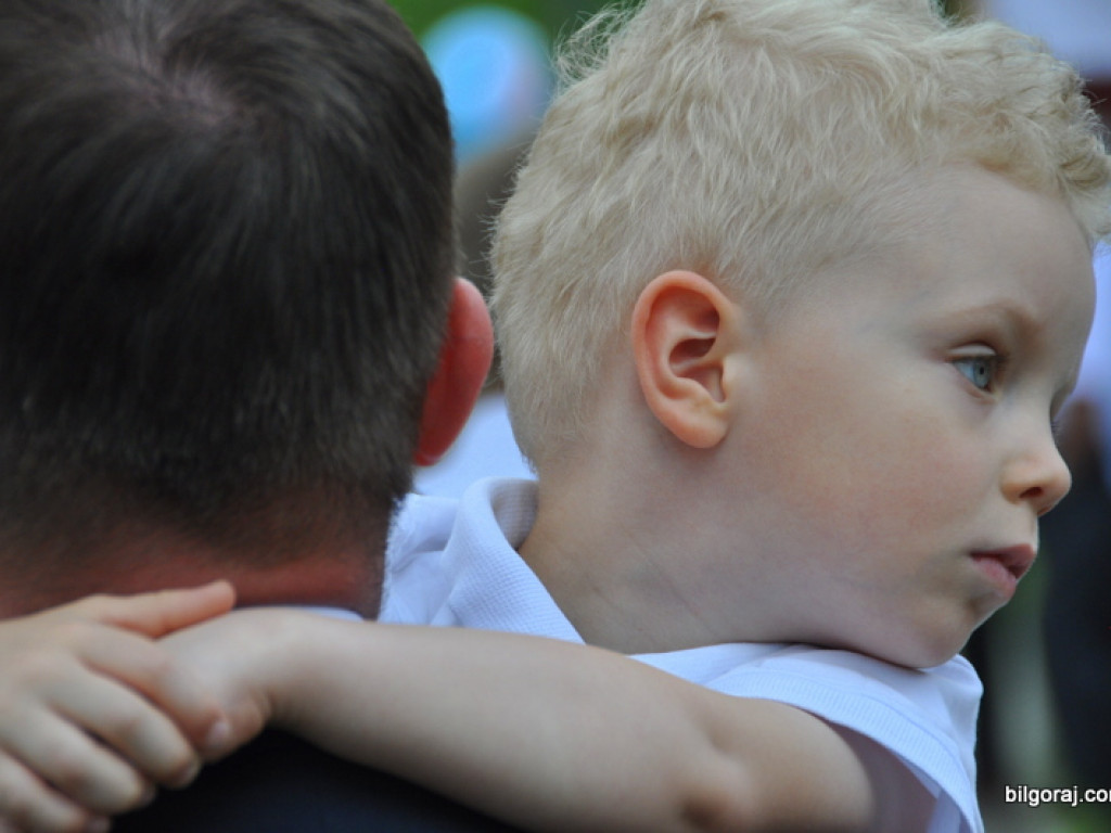 Biszcza - Żary: Powiatowe Święto Ludowe