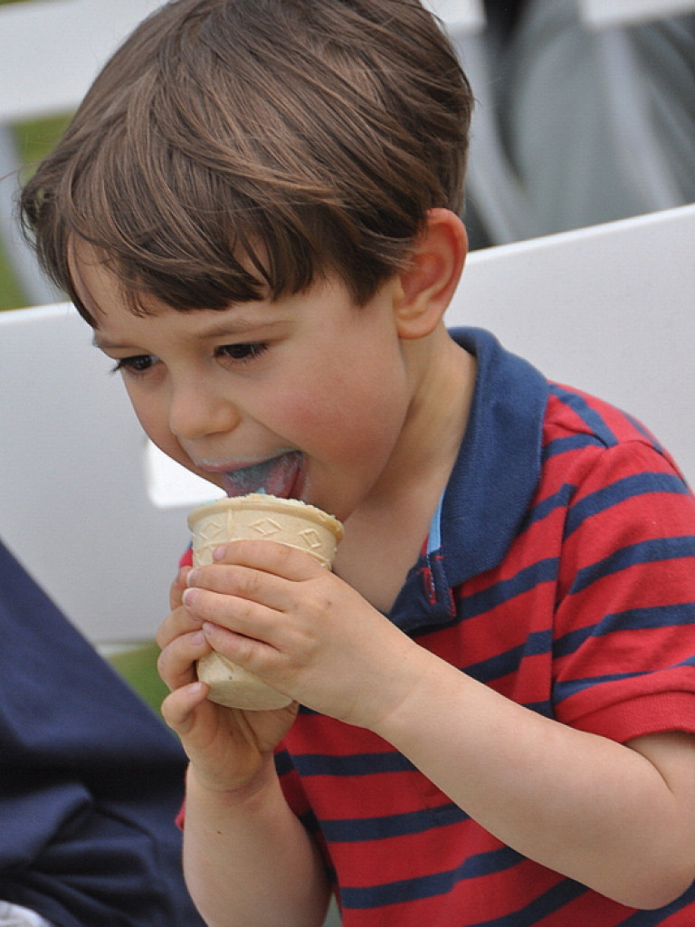 Biszcza - Żary: Powiatowe Święto Ludowe