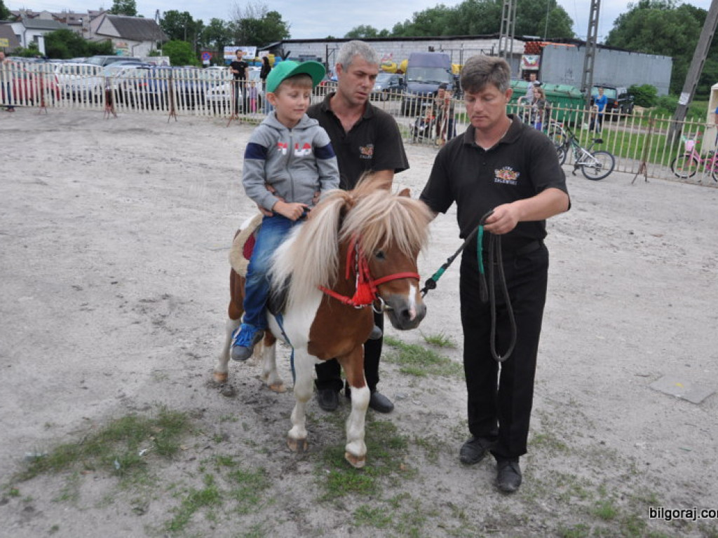 Cyrk Zalewski w Bilgoraju (FOTO)