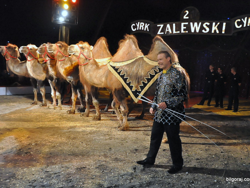 Cyrk Zalewski w Bilgoraju (FOTO)