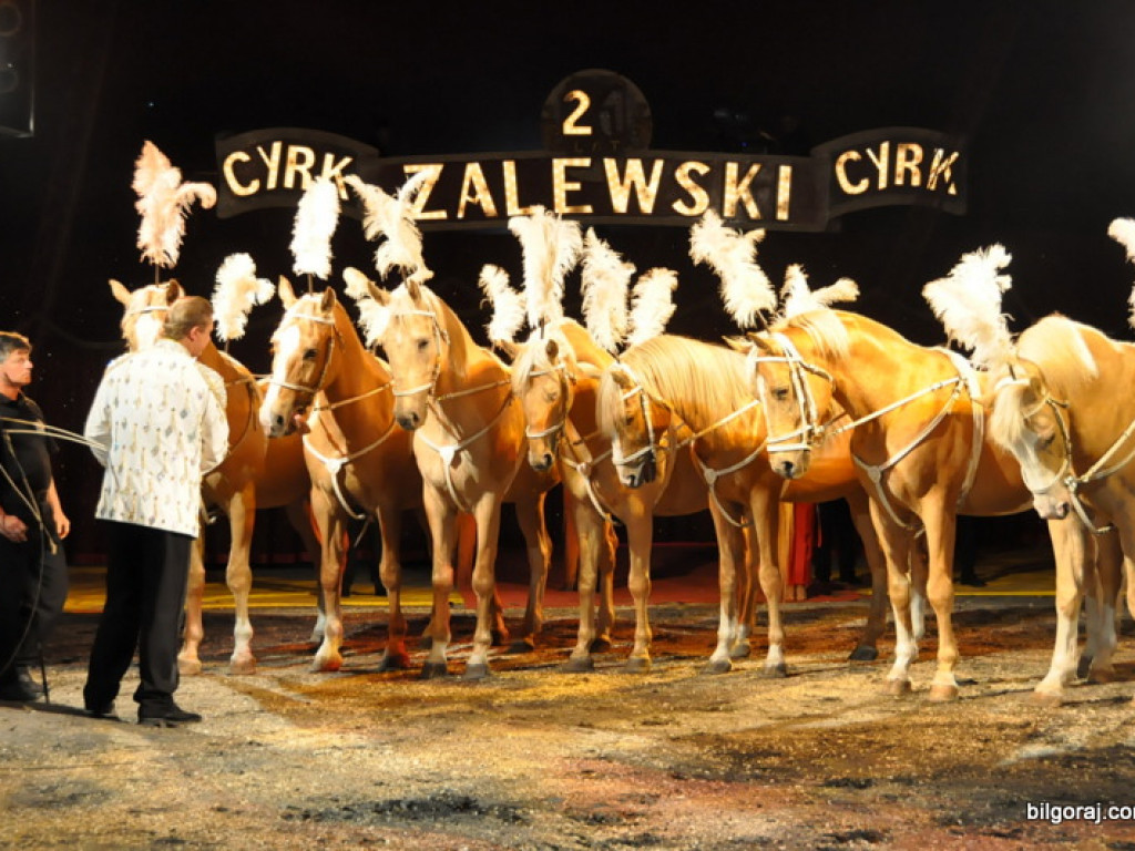 Cyrk Zalewski w Bilgoraju (FOTO)
