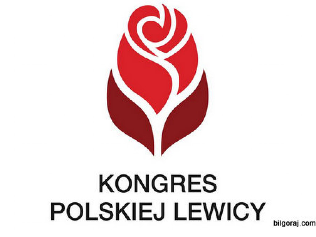 Przedstawiciele biłgorajskich struktur SLD na Kongresie Lewicy