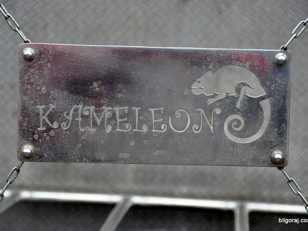 XI Zlot Motocyklowy: Parada przez Miasto i prezentacja motocykli (FOTO)