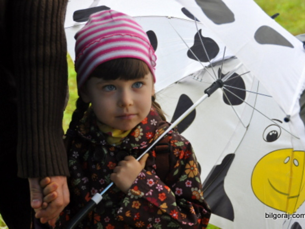 VI Piknik Modelarski - Biłgoraj 2013 (FOTO)