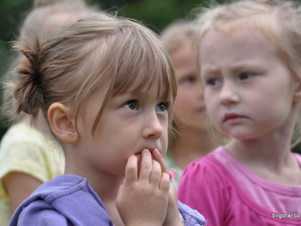 Zagrodzki Piknik Malinowy 2013