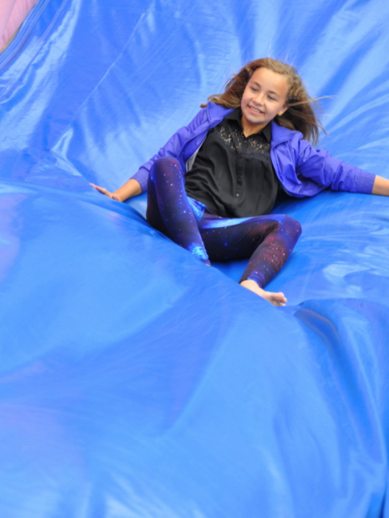 Zagrodzki Piknik Malinowy 2013