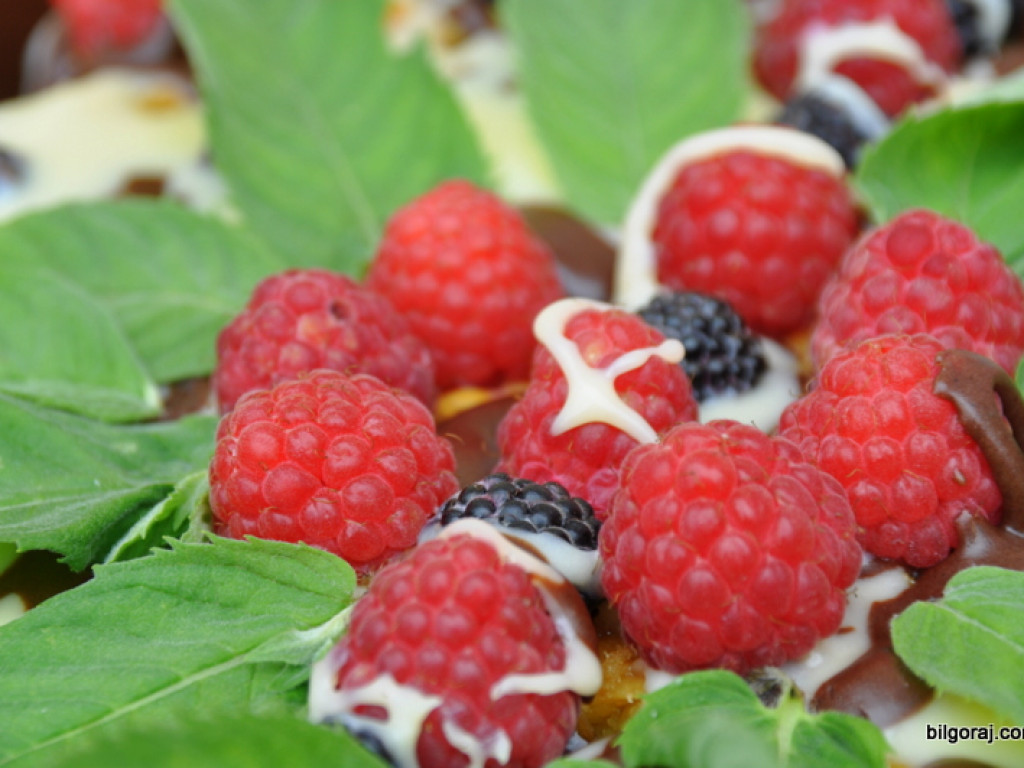 Zagrodzki Piknik Malinowy 2013