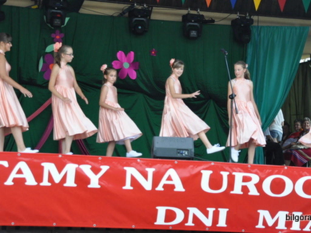 Frampolskie spotkanie z kulturą, sportem i piosenką estradową, czyli Dni Frampola