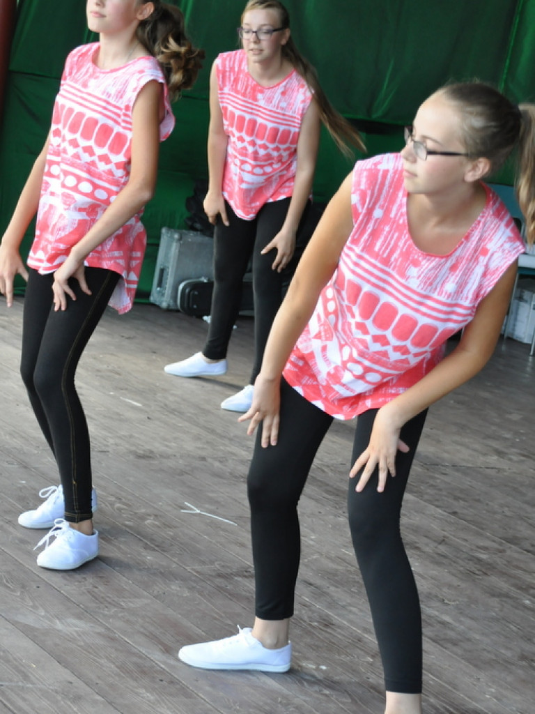 Frampolskie spotkanie z kulturą, sportem i piosenką estradową, czyli Dni Frampola