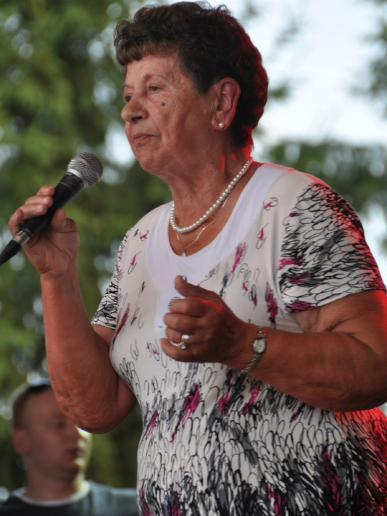 Dni Tarnogrodu 2013