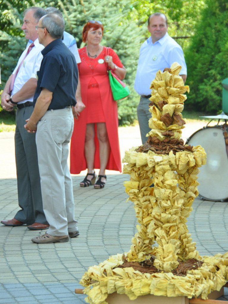 Łukowa - Tytoniaki 2013 (FOTO)