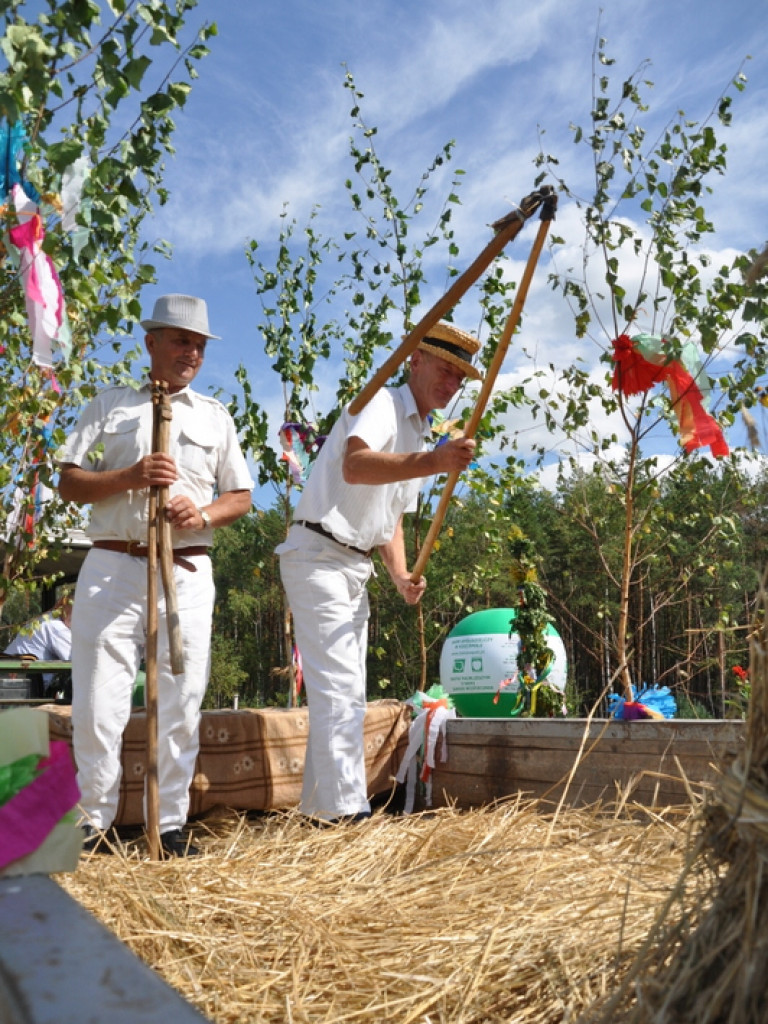 Aleksandrów: Dożynki gminno - parafialne 2013