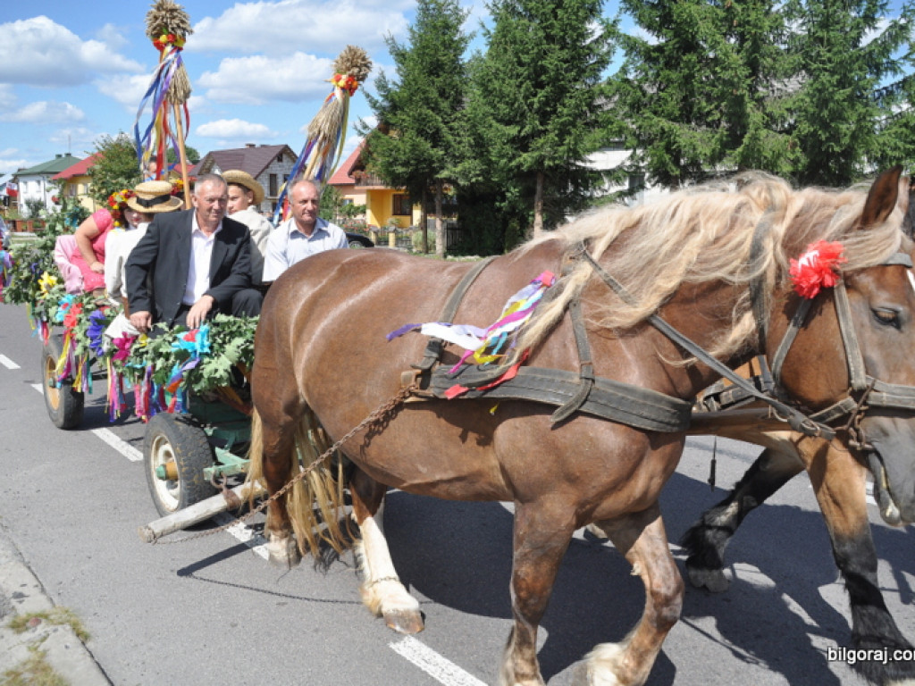 Aleksandrów: Dożynki gminno - parafialne 2013