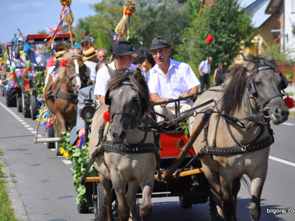 Aleksandrów: Dożynki gminno - parafialne 2013