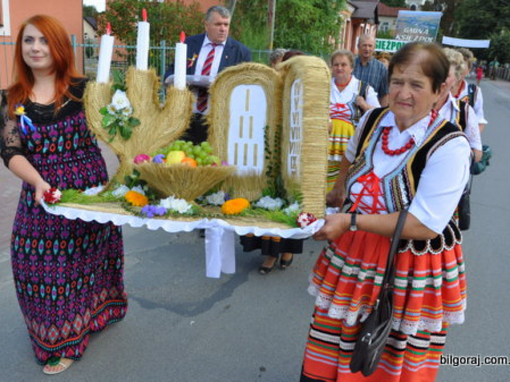 Bogu za plony, rolnikom za pracę - Dożynki Powiatowe 2013 (FOTO, VIDEO)