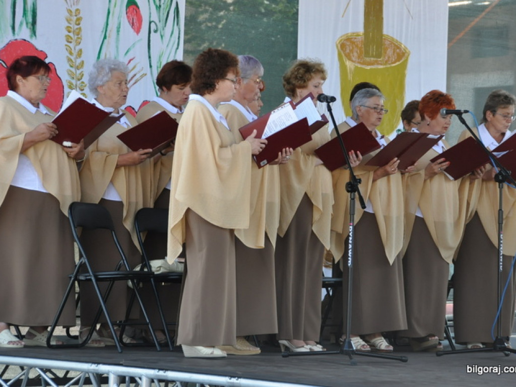 Bogu za plony, rolnikom za pracę - Dożynki Powiatowe 2013 (FOTO, VIDEO)