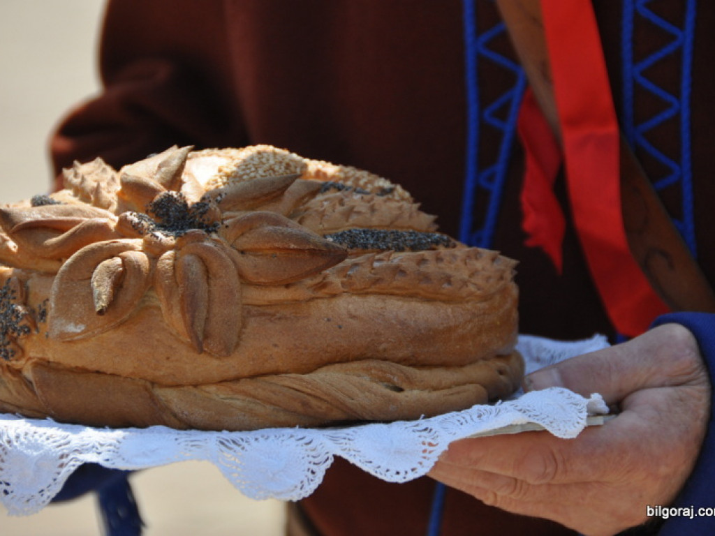 Bogu za plony, rolnikom za pracę - Dożynki Powiatowe 2013 (FOTO, VIDEO)