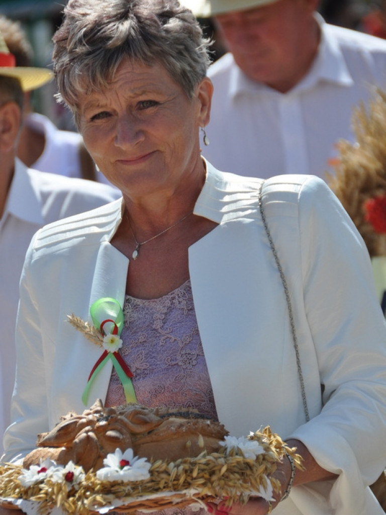 Bogu za plony, rolnikom za pracę - Dożynki Powiatowe 2013 (FOTO, VIDEO)