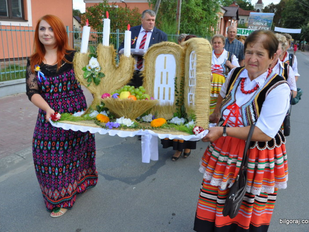 Bogu za plony, rolnikom za pracę - Dożynki Powiatowe 2013 (FOTO, VIDEO)