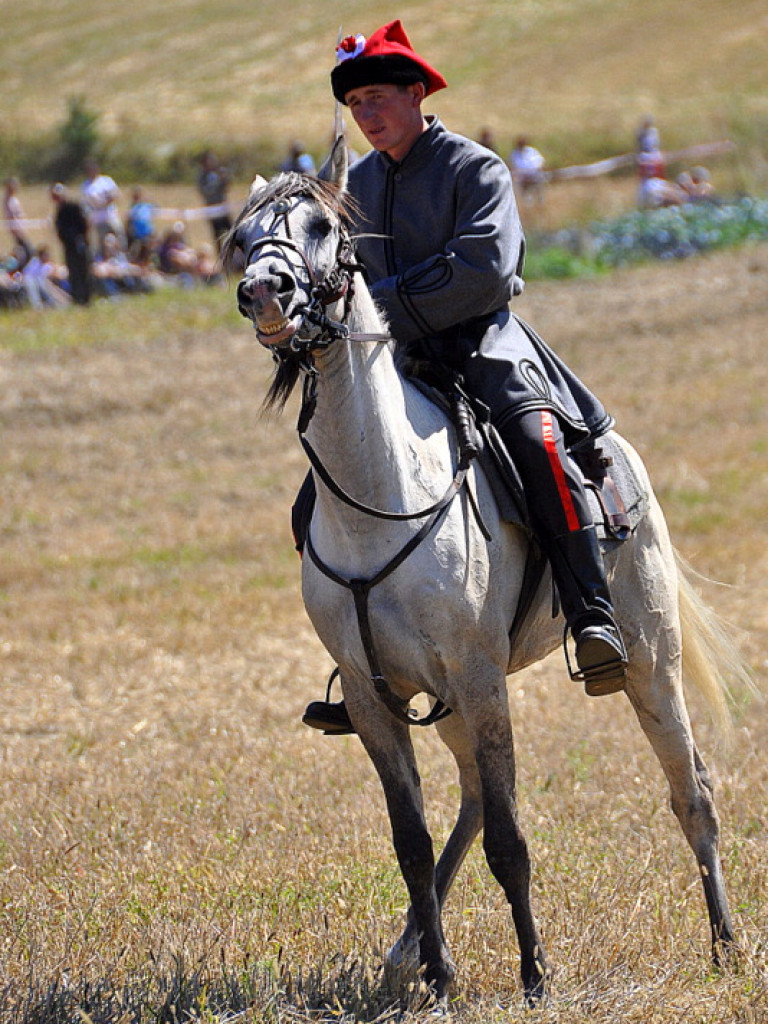 Niechaj Polska zna, jakich synów ma! (VIDEO)