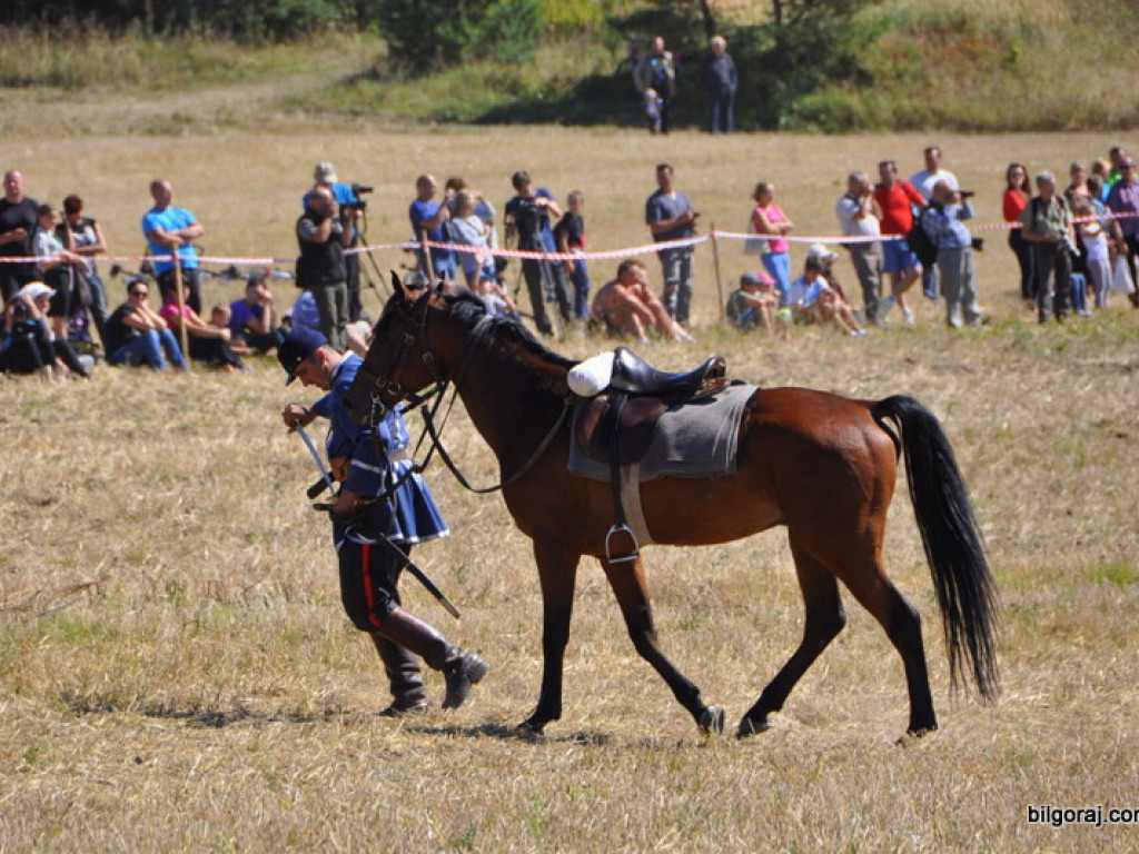 Niechaj Polska zna, jakich synów ma! (VIDEO)