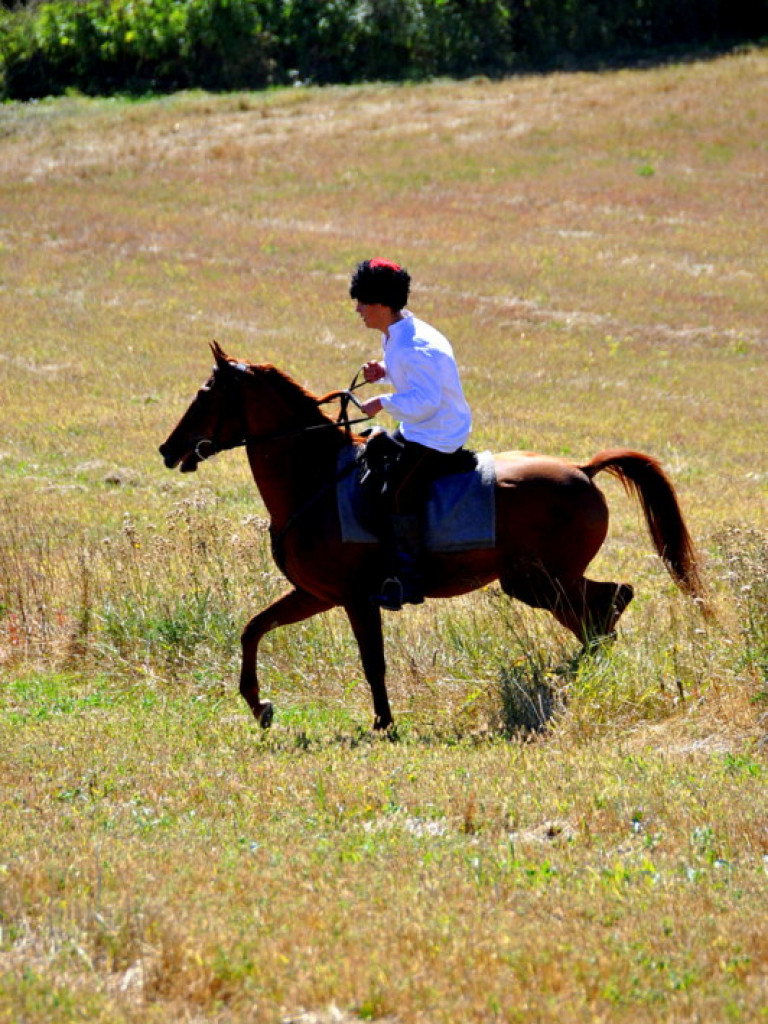 Niechaj Polska zna, jakich synów ma! (VIDEO)