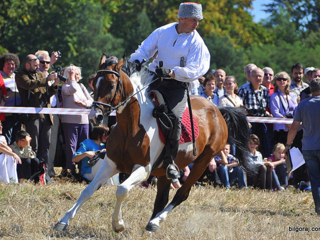 Niechaj Polska zna, jakich synów ma! (VIDEO)