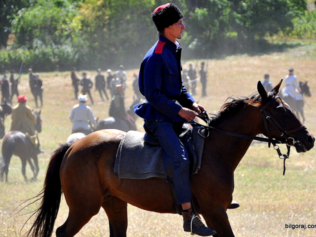 Niechaj Polska zna, jakich synów ma! (VIDEO)