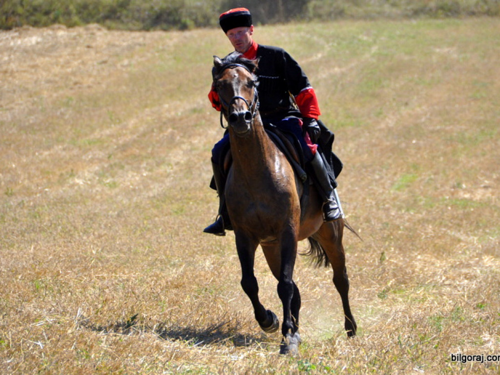 Niechaj Polska zna, jakich synów ma! (VIDEO)