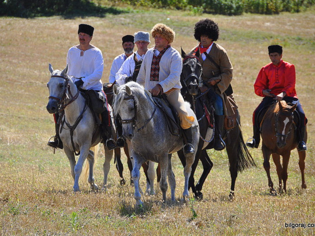 Niechaj Polska zna, jakich synów ma! (VIDEO)