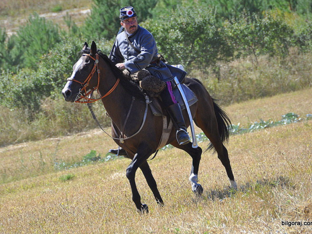 Niechaj Polska zna, jakich synów ma! (VIDEO)