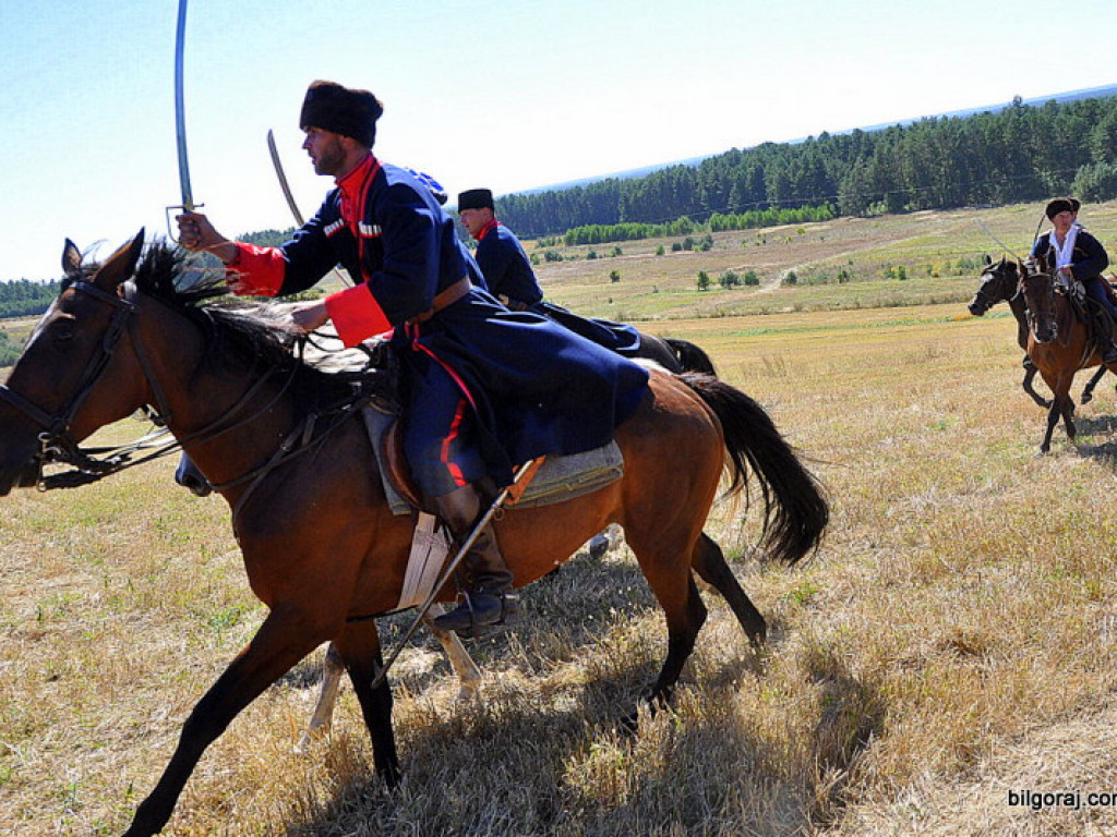 Niechaj Polska zna, jakich synów ma! (VIDEO)