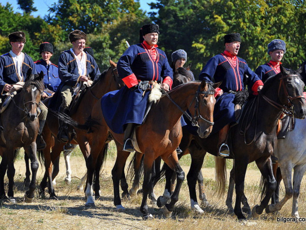 Niechaj Polska zna, jakich synów ma! (VIDEO)