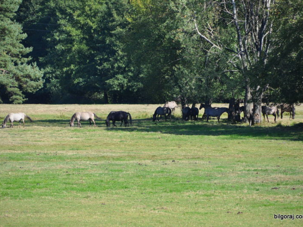 III Biłgorajska Pielgrzymka Rowerowa do Janowa Lubelskiego