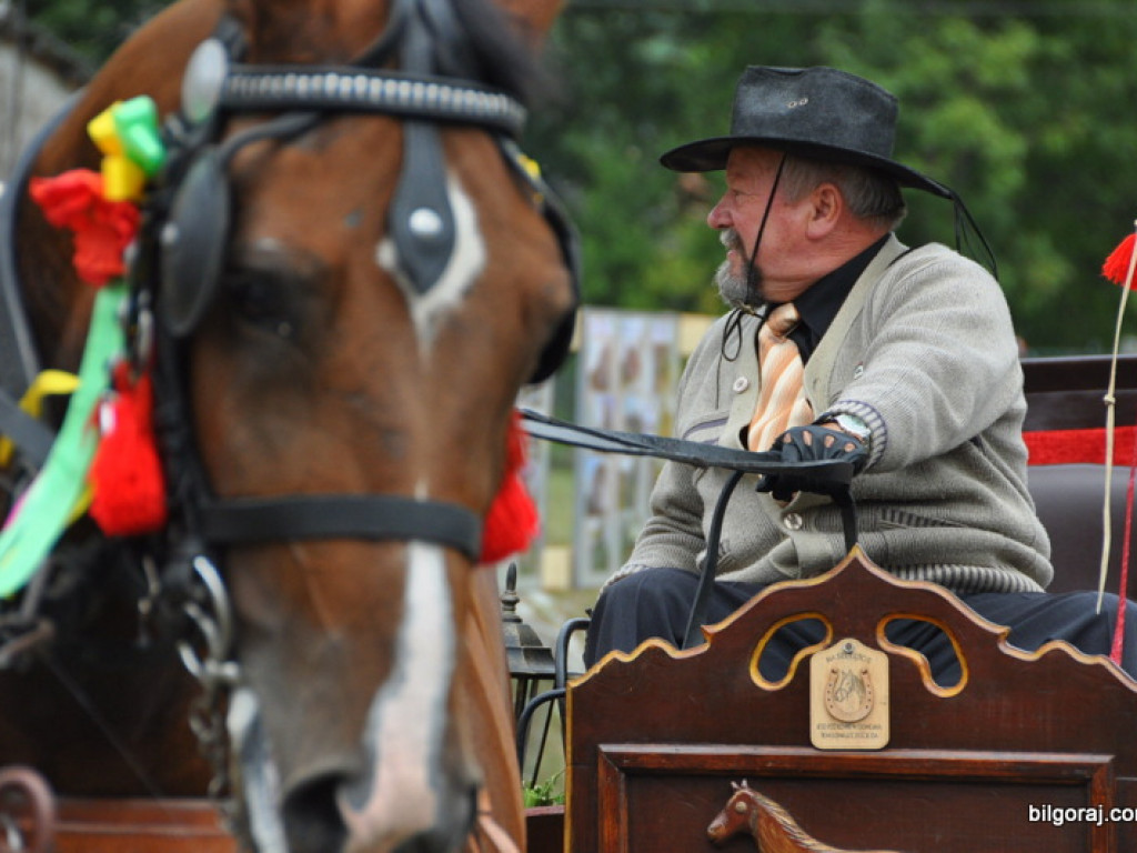 Tarnogród: Dożynki gminno - parafialne w Luchowie (FOTO)