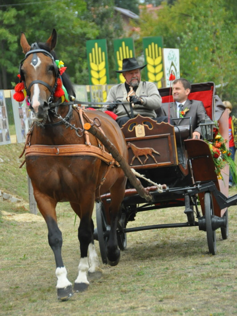 Tarnogród: Dożynki gminno - parafialne w Luchowie (FOTO)