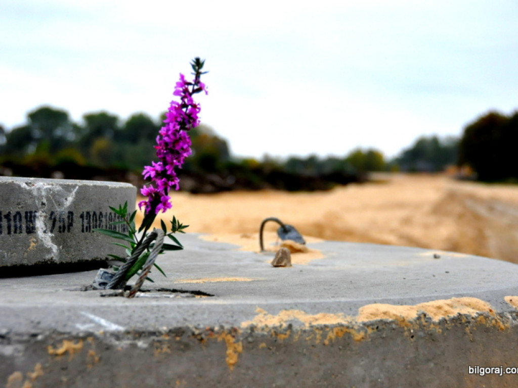 Obwodnica północna Biłgoraja - zdjęcia z placu budowy
