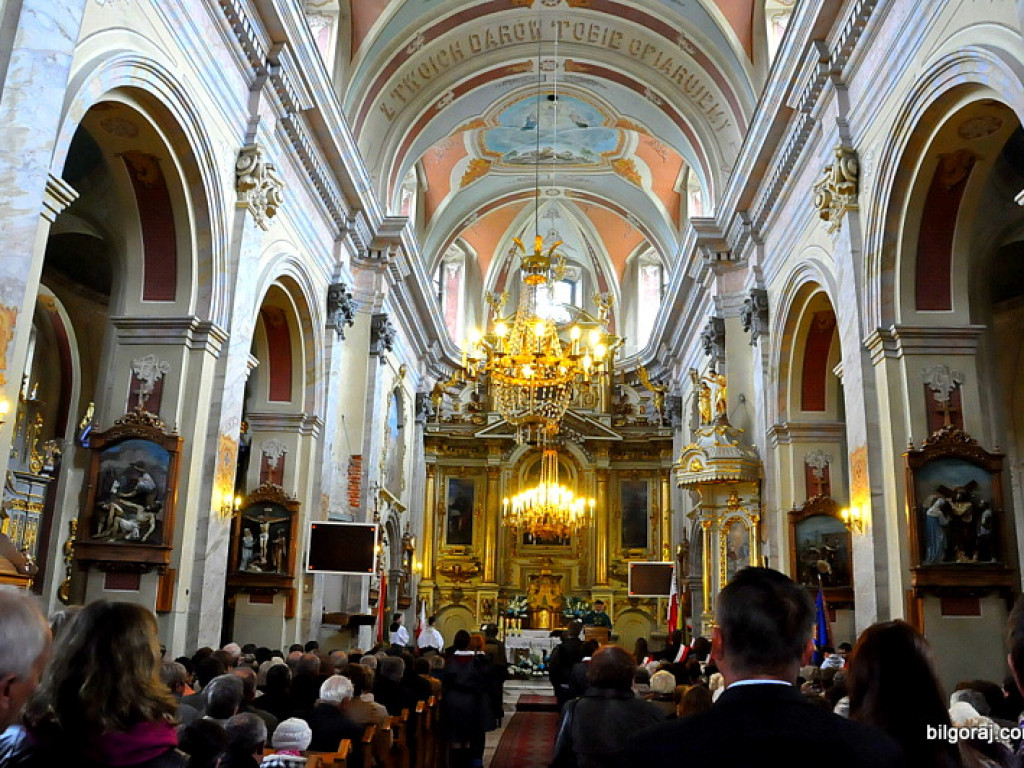 Żyj swobodo, Polsko, żyj!