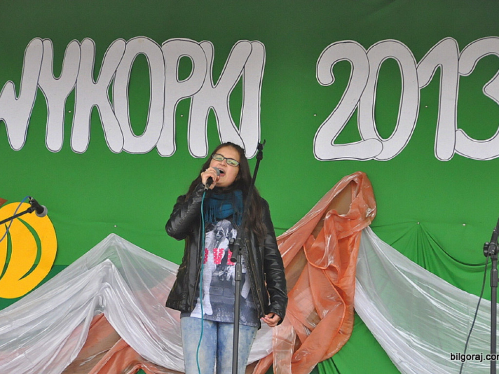 Majdan Nepryski: Wykopki 2013 (FOTO)