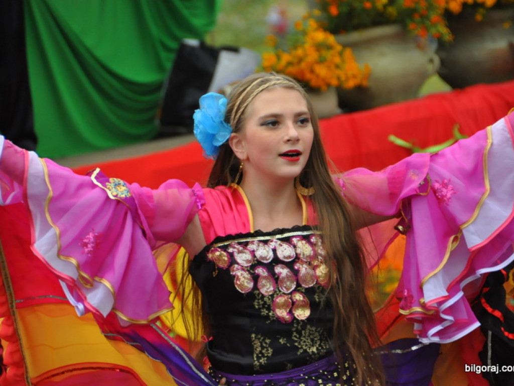 Majdan Nepryski: Wykopki 2013 (FOTO)