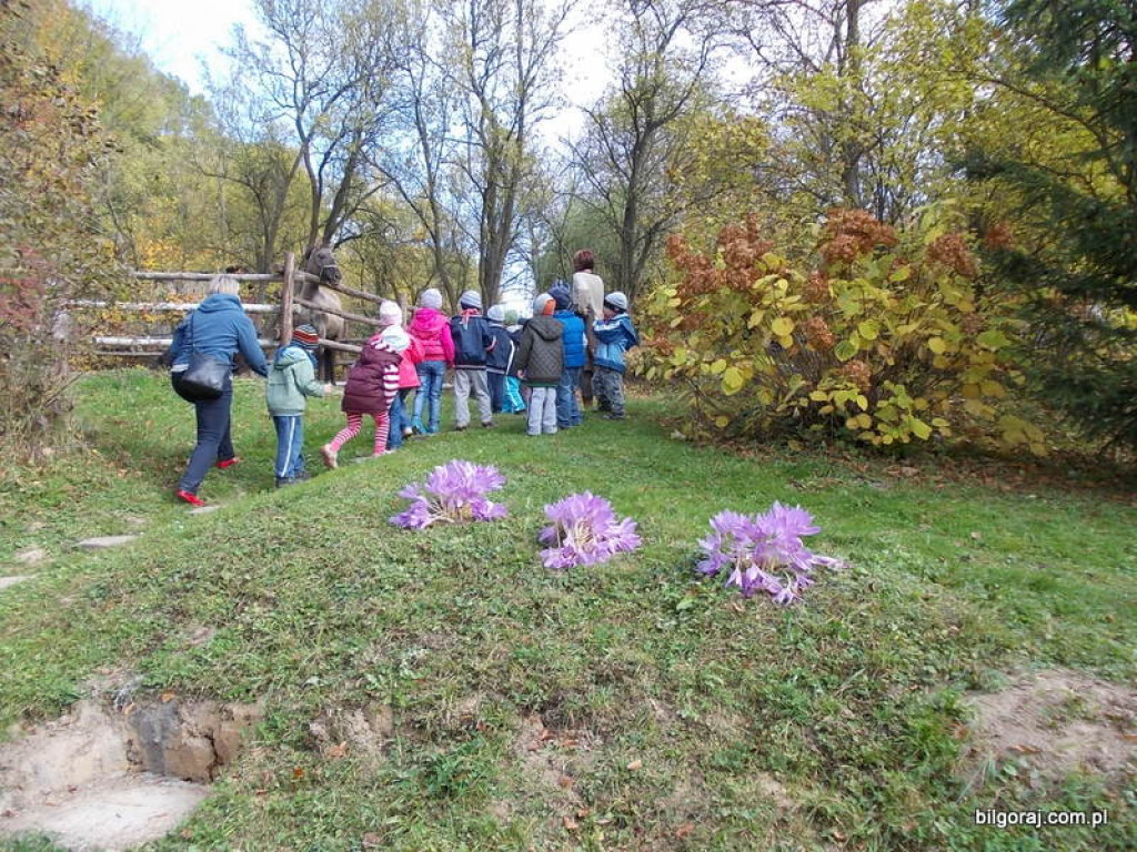Przedszkolaki w „Uliku” i nie tylko… (FOTO)