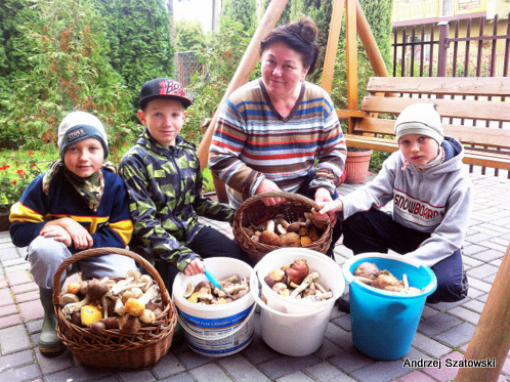 Na grzyby! (NOWE FOTO)